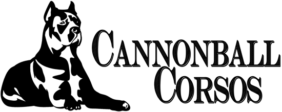 Cannonball Corso logo